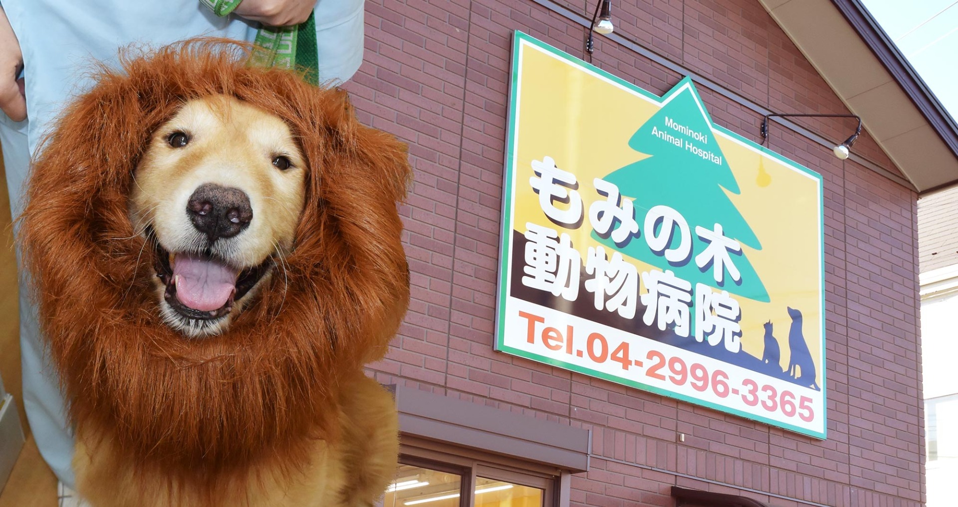 もみの木動物病院